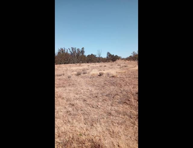 LAND FOR SALE IN WALKERVILLE CENTRAL